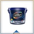 FİLLİ BOYA NUCLEUS 15LT